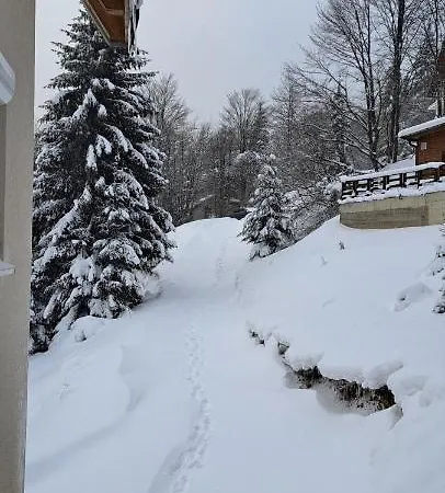 Apartman A2kopaonik Newly Built