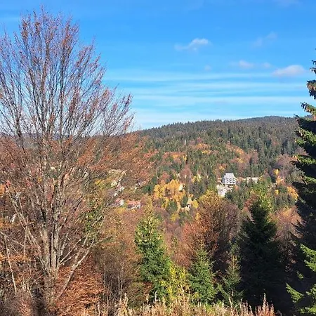 A2kopaonik Newly Built * Kopaonik