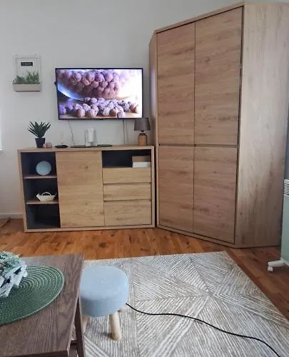 A2kopaonik Newly Built Lejlighed Kopaonik