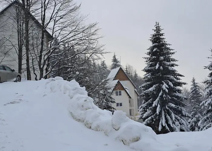 A2kopaonik Newly Built * Kopaonik