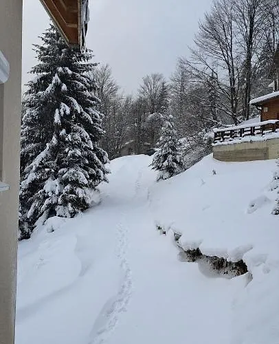 Lejlighed A2kopaonik Newly Built