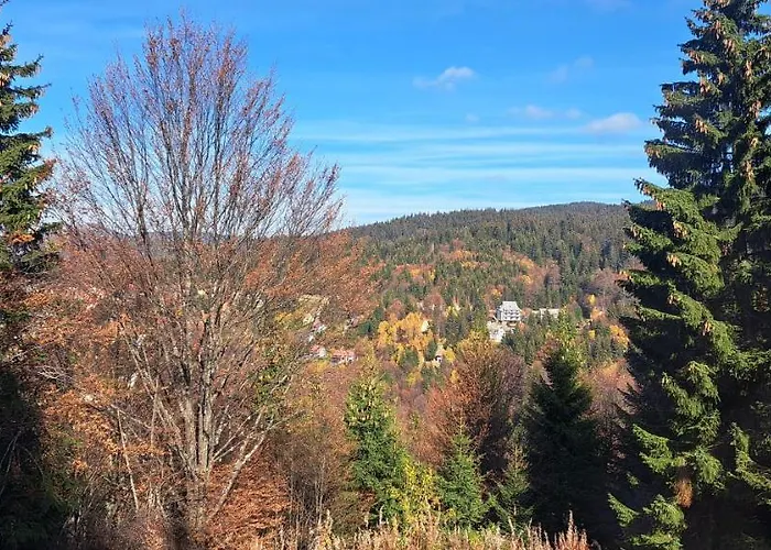 A2kopaonik Newly Built * Kopaonik