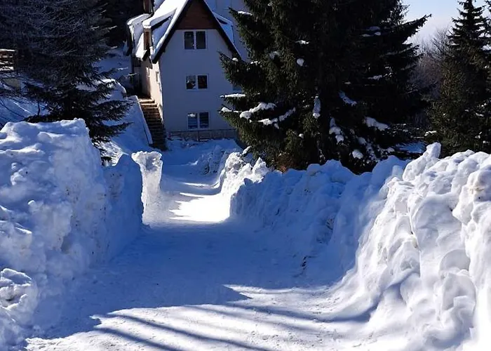 Lejlighed A2kopaonik Newly Built